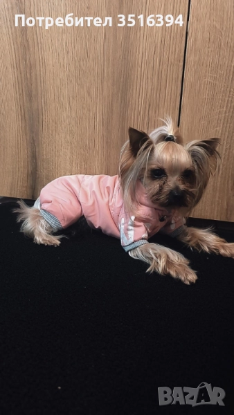 Дрехи за малки куче, снимка 1