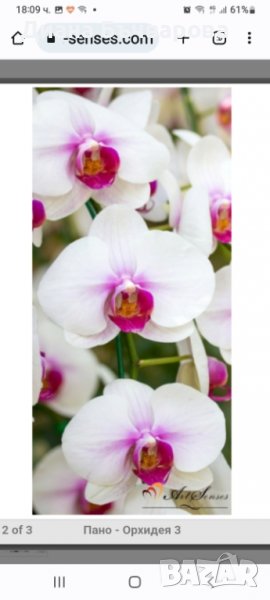 Самозалепващо пано Орхидеи, снимка 1