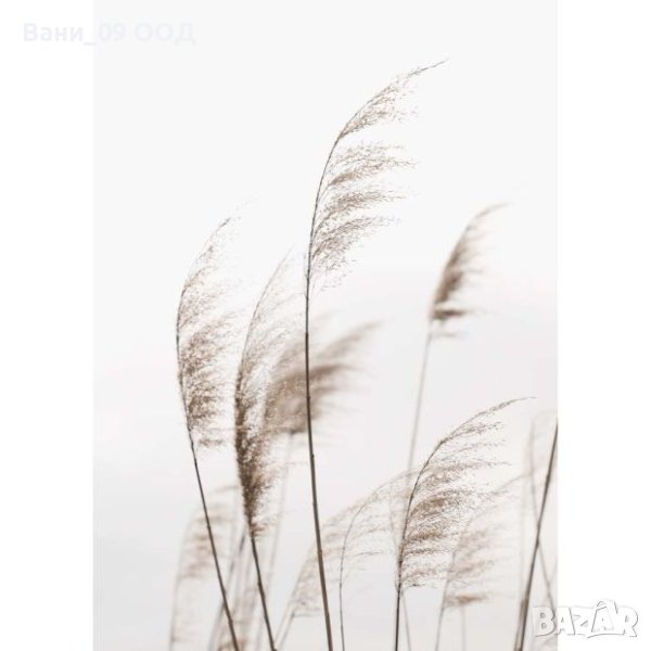 Картина-канава, снимка 1