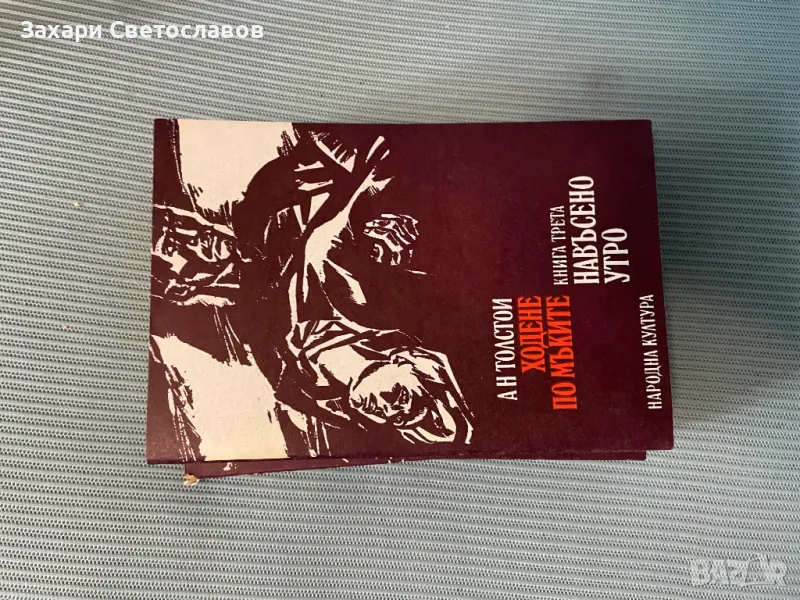 Поредица от книгите на Ан Толстои, снимка 1
