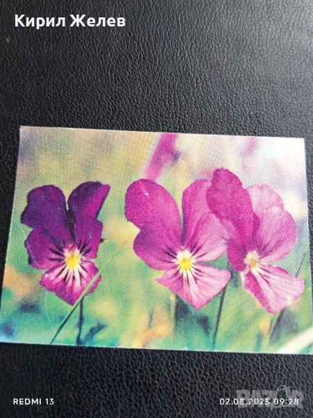 Старо календарче серия ЦВЕТЯ много красиво за КОЛЕКЦИЯ ДЕКОРАЦИЯ 50039, снимка 1