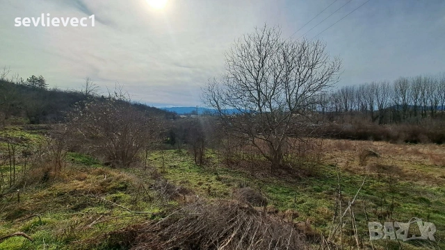 Продавам два съседни парцела в местност Севлиевски лозя , снимка 11 - Парцели - 54082851