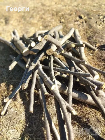 Продавам сух орехов материал