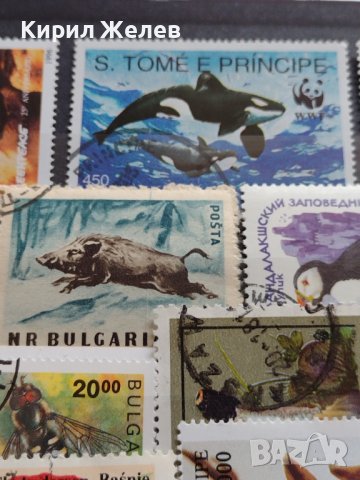 ПОЩЕНСКИ МАРКИ смесени ЖИВОТНИ,ЦВЕТЯ,ГЪБИ от цял свят за КОЛЕКЦИЯ 22600, снимка 7 - Филателия - 40316204