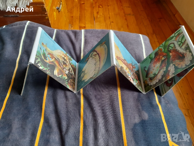 Детска книжка Морска Фауна, снимка 2 - Детски книжки - 52296637