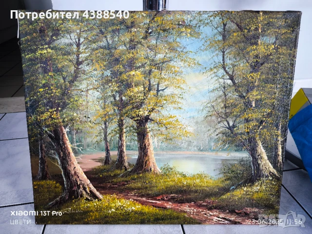 Картини, снимка 4 - Картини - 50767028