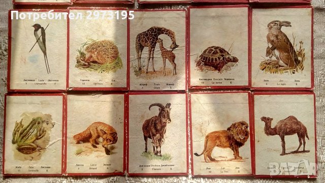 стара детска образователна игра, снимка 2 - Други ценни предмети - 38679299