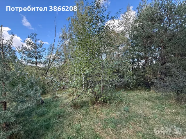 Земеделска земя , снимка 3 - Парцели - 56413709