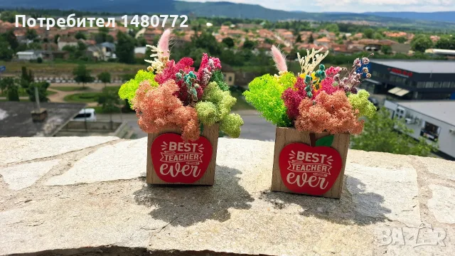 Дървени кашпи със скандинавски мъх за учител 