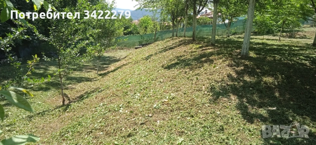 Опасни дървета рязане косене непроходима растителност почистване от-до, снимка 7 - Други услуги - 49352802