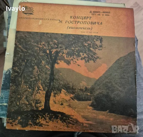 Плочи за грамофон   Грамофонни плочи, снимка 11 - Грамофонни плочи - 56433624