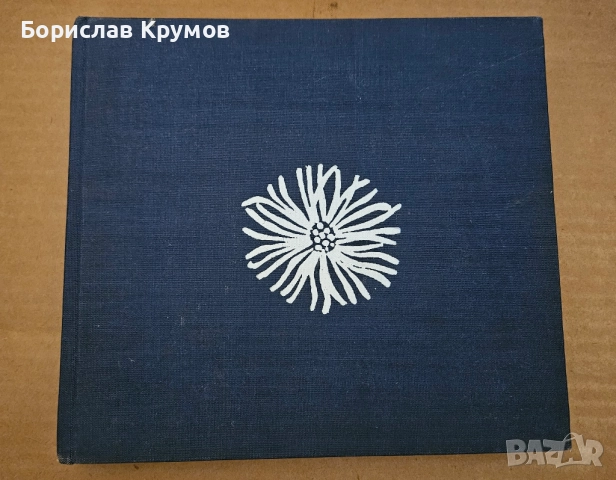 Дворът - съвременна домашна градина, снимка 4 - Специализирана литература - 52776055