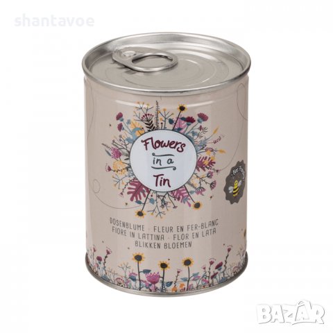 Цветя в кенче с пръст и семена, снимка 3 - Градински цветя и растения - 40049315