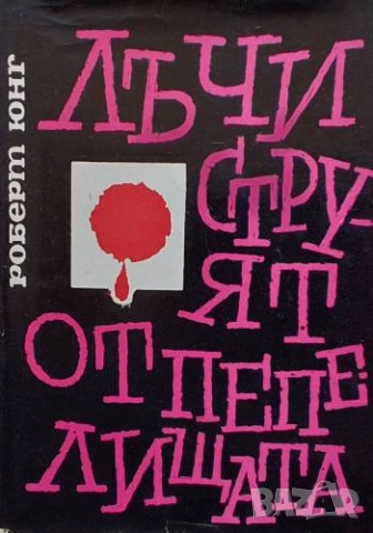 Лъчи струят от пепелищата История на едно възраждане Роберт Юнг