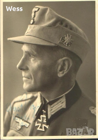 Метален еделвайс за кепе Gebirgsjager, снимка 2 - Колекции - 53205744