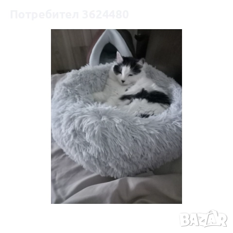 Пухено гнездо легло за куче или котка 3164, снимка 15 - За кучета - 52774656