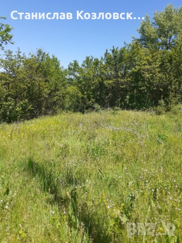 Продавам дворно място в село Лява Река, снимка 3 - Парцели - 51464880