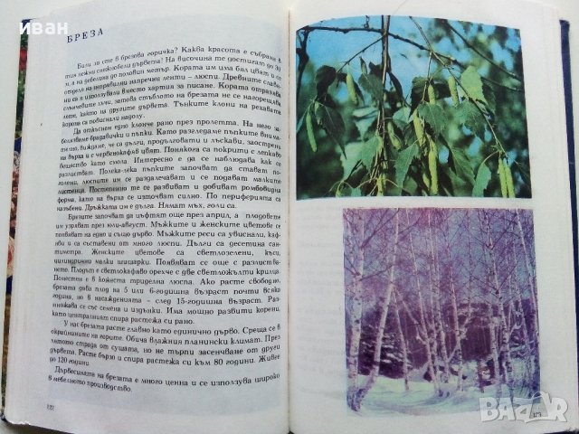 Албум за растения и животни - Н.Боев,С.Петров,П.Кръстев - 1976г., снимка 5 - Енциклопедии, справочници - 40616804