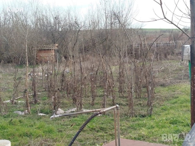  Просторна къща с двор 2600 кв.м в центъра на с. Морава – 27 500 €, снимка 4 - Къщи - 53917617