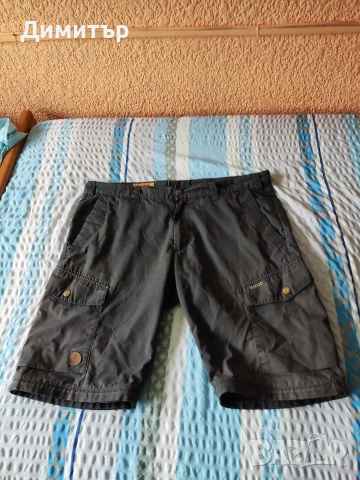 Fjall raven
