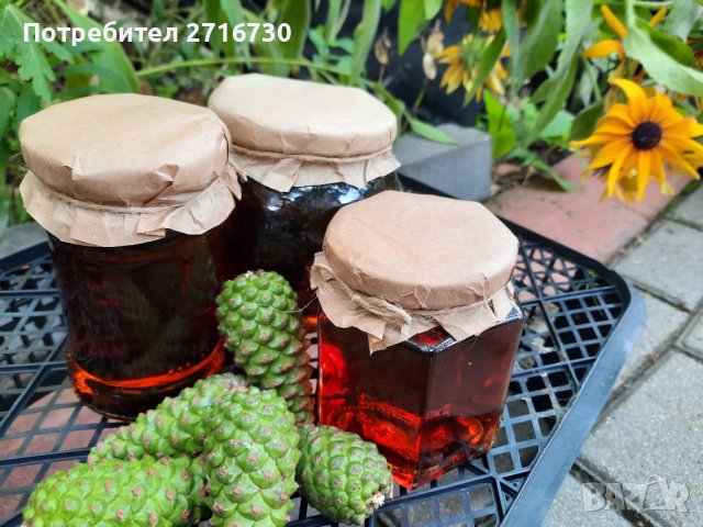 Боров мед от борови връхчета и шишарки, снимка 5 - Домашни продукти - 39312356