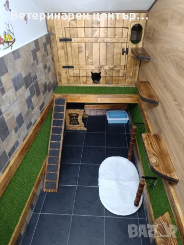 Хотел за котки Уговет , снимка 4 - Ветеринари и услуги - 49763338