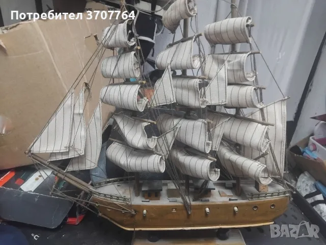 морско плътнохотче, снимка 2 - Декорация за дома - 56487761