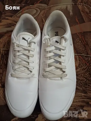 Puma BMW MMS Drift Cat 7S Ultra

