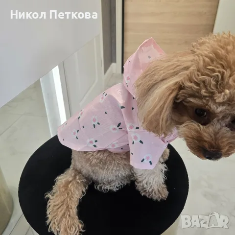 Дъждобран Pink Flower, снимка 2 - За кучета - 56131592