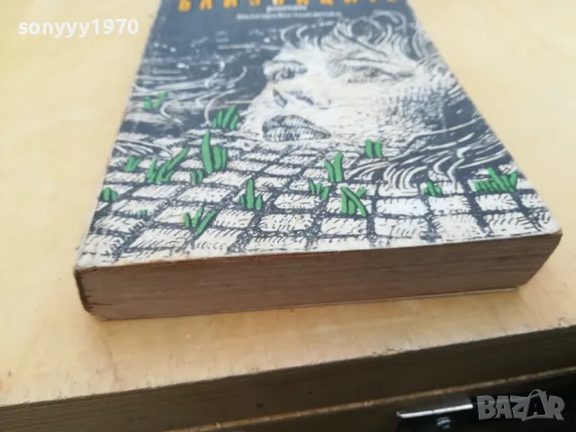 БЛИЗНАЦИТЕ 2705250619, снимка 8 - Художествена литература - 50438868