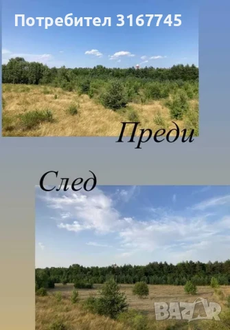 Почистване на терени мулчиране, снимка 1