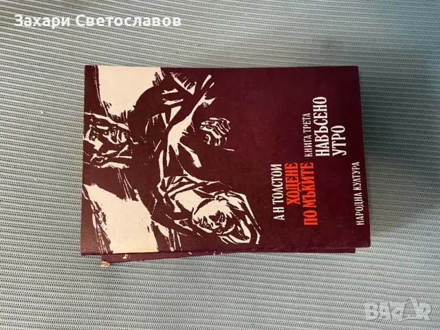 Поредица от книгите на Ан Толстои, снимка 1