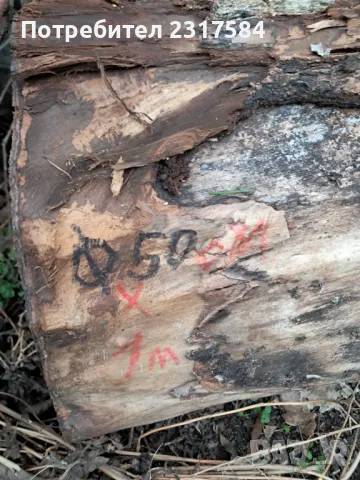 Продавам трупи и дънери от орех., снимка 3 - Строителни материали - 27503658