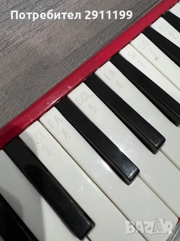 Триола Irin, снимка 5 - Духови инструменти - 52096974