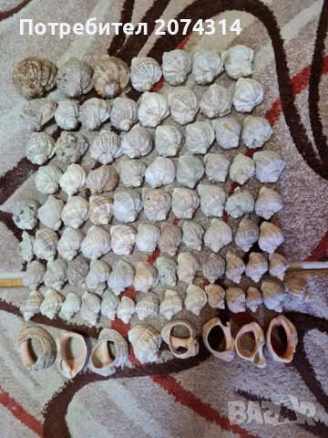 Продавам рапани