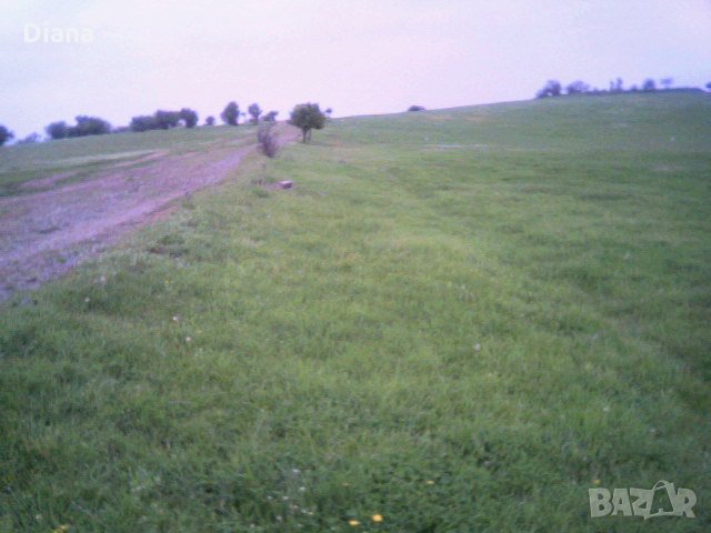 Парцел 3000кв.м. на 12 км от Приморско - с.Ясна поляна, снимка 6 - Парцели - 32135143