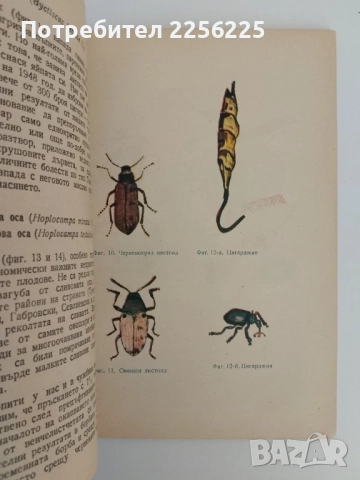 Употреблението на Газерола и другите ДДТ - препарати в овощарството, снимка 3 - Специализирана литература - 51530293