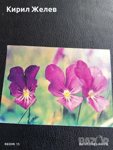 Старо календарче серия ЦВЕТЯ много красиво за КОЛЕКЦИЯ ДЕКОРАЦИЯ 50039