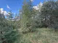 Земеделска земя , снимка 3