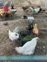 продавам кокошки и петли, снимка 5