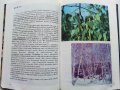 Албум за растения и животни - Н.Боев,С.Петров,П.Кръстев - 1976г., снимка 5