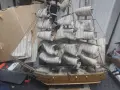 морско плътнохотче, снимка 2