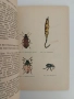 Употреблението на Газерола и другите ДДТ - препарати в овощарството, снимка 3