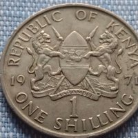 Монета 1 шилинг 1971г. Кения уникат за КОЛЕКЦИОНЕРИ 40862, снимка 4 - Нумизматика и бонистика - 42802032