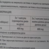  Гъба Чага, снимка 5 - Хранителни добавки - 33815228