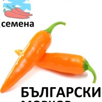 Семена за екзотични люти чушки, снимка 3 - Сортови семена и луковици - 44274579