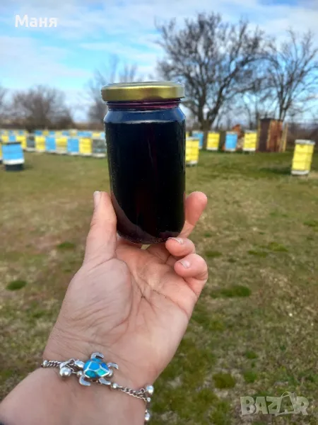 Черен бъз с мед, снимка 1