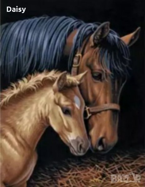 Диамантен гоблен Кончета в обор 30 х 40, снимка 1