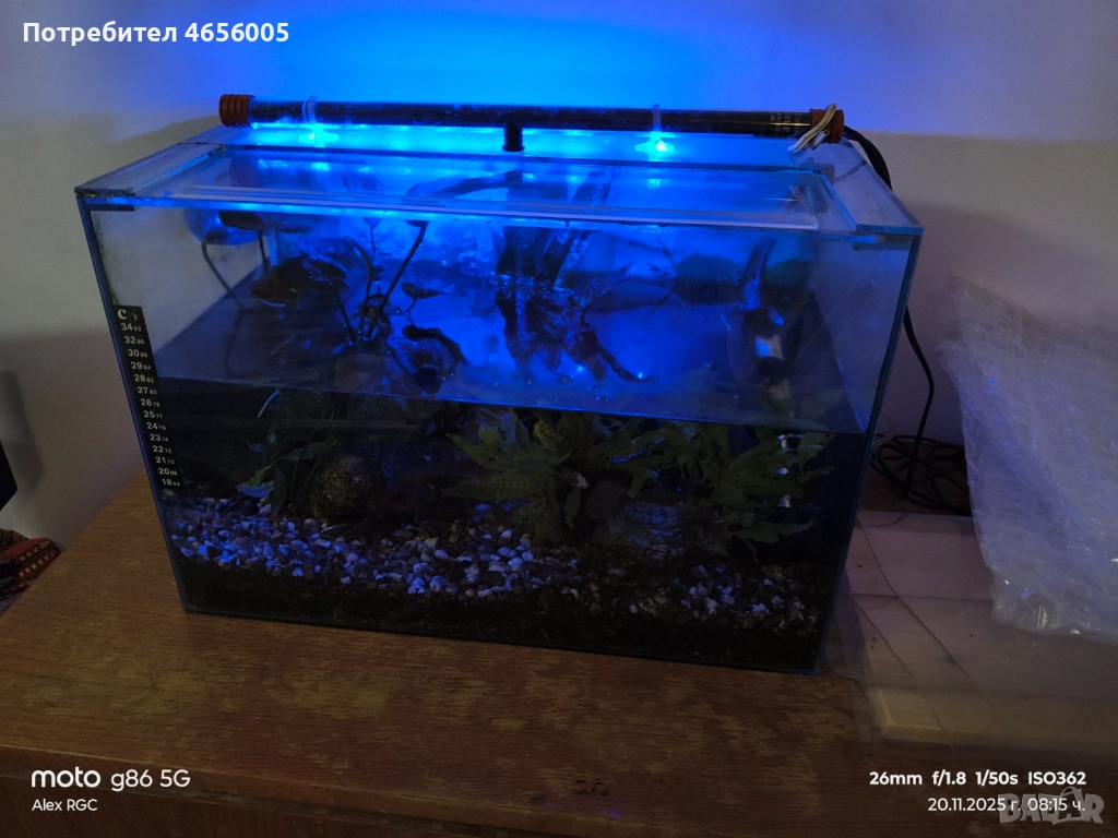 Оборудван аквариум, снимка 1