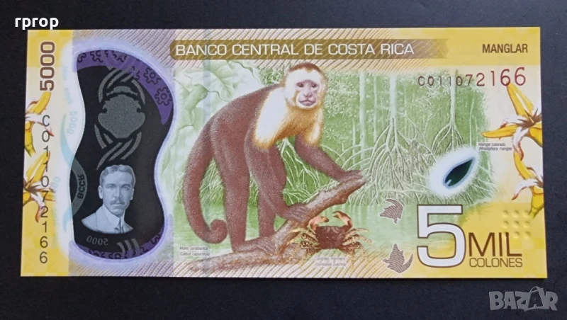 Коста Рика.5 000 колона . 2019 година. Полимер. , снимка 1